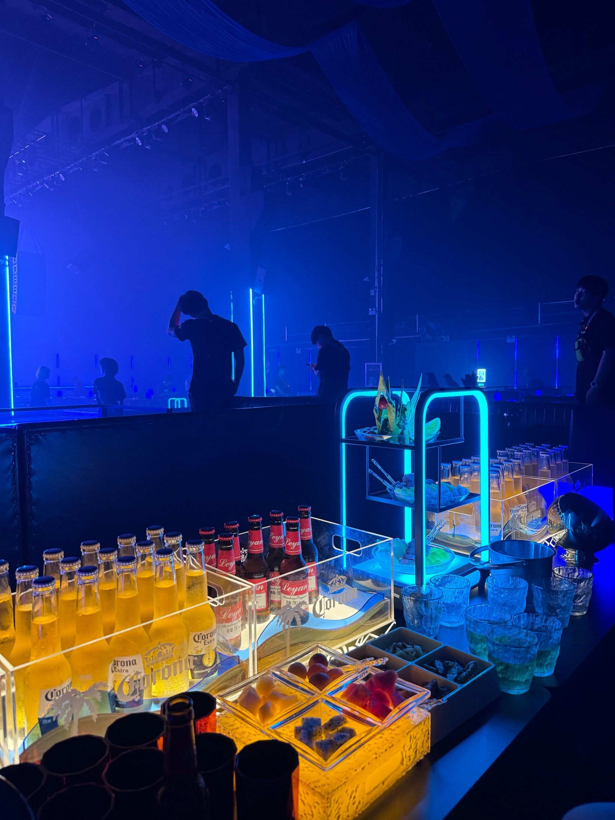 吉林商务ktv，精彩商务ktv玩法-龙潭区ktv预定